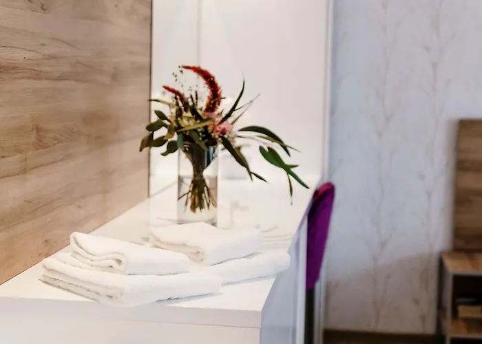 公寓 Haus Am Hs 233 戈斯拉尔