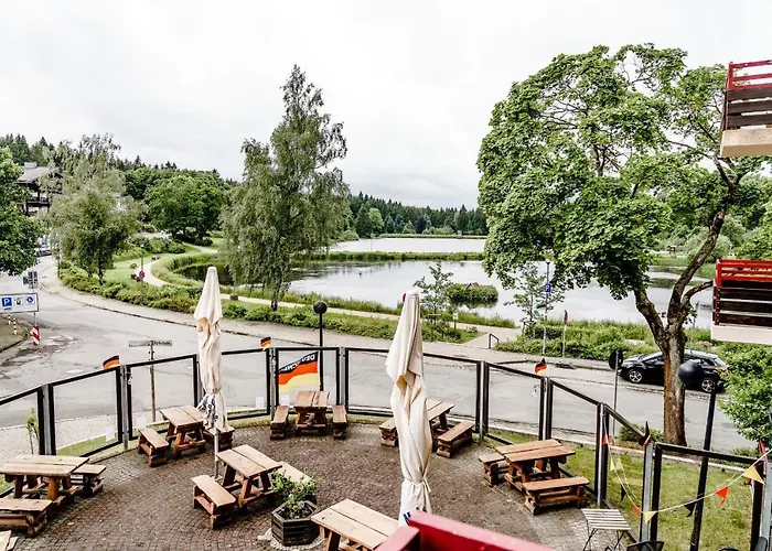 Haus Am Hs 233 * 戈斯拉尔