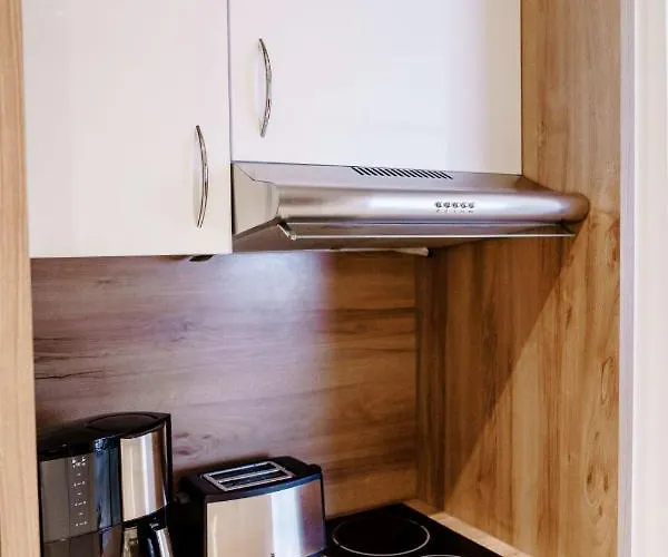 公寓 Haus Am Hs 233 戈斯拉尔